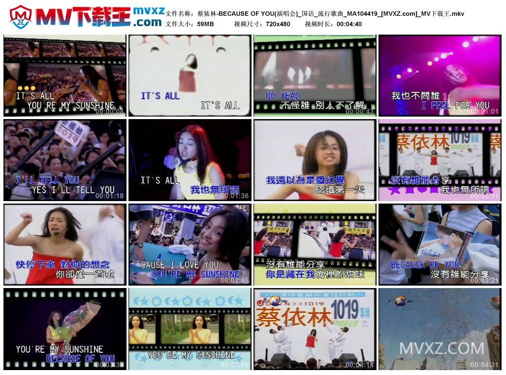 蔡依林-BECAUSE OF YOU(演唱会)_国语_流行歌曲_MA104419